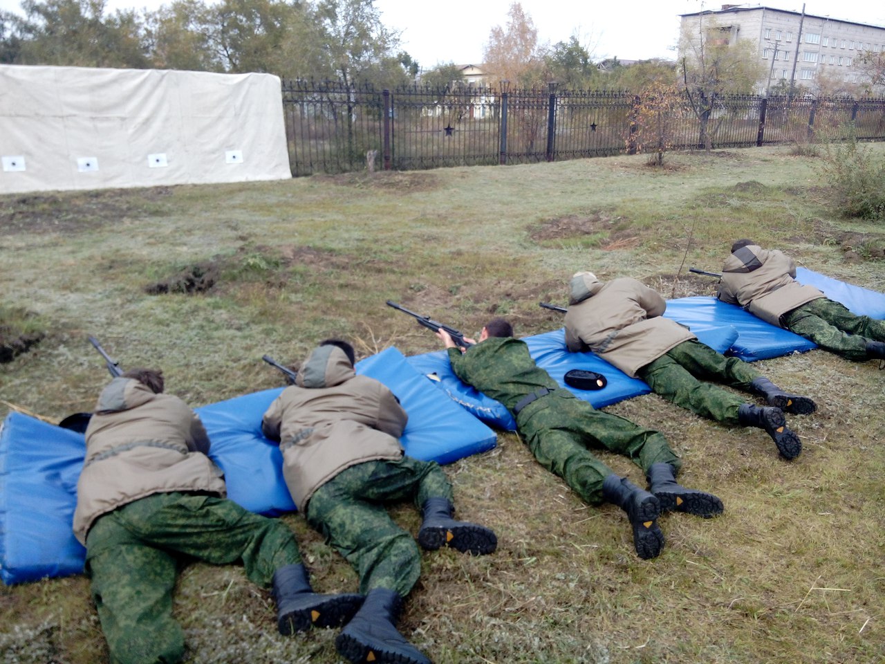 сибщит3